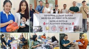 c1 20240819 16423357 800x445 1