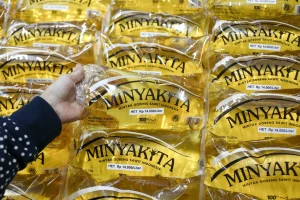 Minyakkita