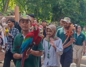 Parade satwa Bandung Zoo 1