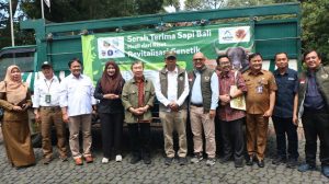 SMELTING TAMAN SAFARI PRIGEN REVITALISASI GENETIK SAPI BALI 2 1536x862 1