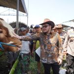 hewan ternak kabupaten kediri