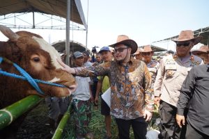 hewan ternak kabupaten kediri