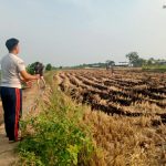 KKN Untag pematang