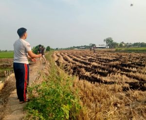 KKN Untag pematang