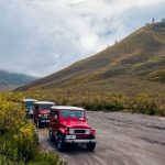 Bromo