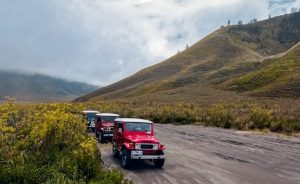 Bromo