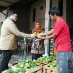 Mangga Podang Lereng Wilis Kediri